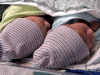 2003birthbabies2.gif (135343 bytes)