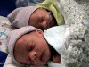 2003birthbabies3.gif (131698 bytes)